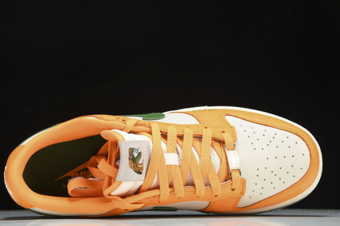 Florida A&M x Nike Dunk Low  DR6188-800