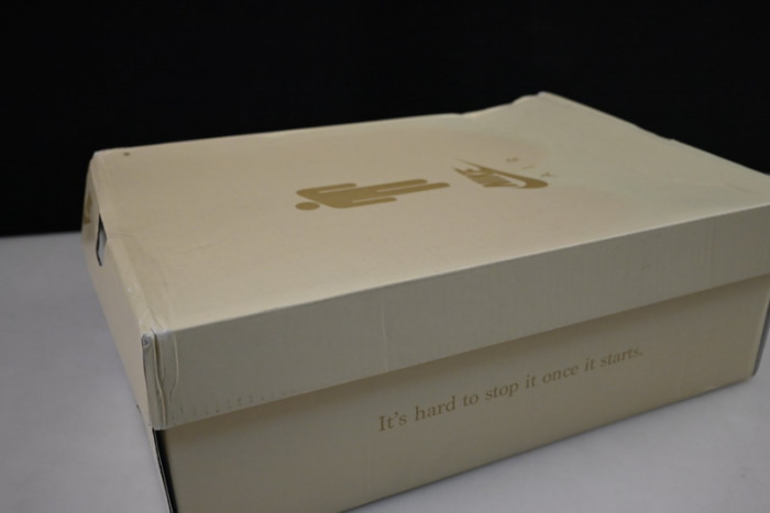 Billie Eilish Nike Air Force 1 Triple White DZ3674-100