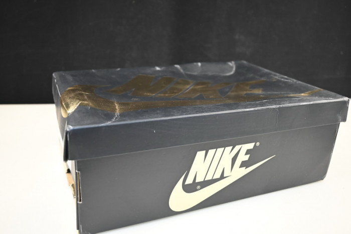 Air Jordan 1 Retro High OG "Palomino" DZ5485-020