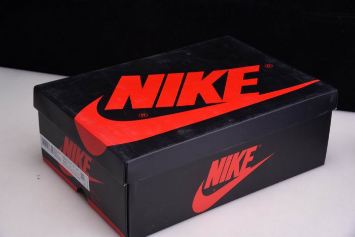 Air Jordan 1  Tie-Dye - CD0461-100